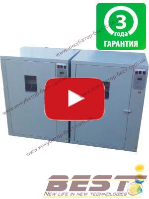 Видео, автоматический инкубатор Бест - 500